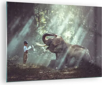 Produktbild von Bilder auf glas - Elefant Dschungel Stoßzahn - 70x50cm - Glasbilder - Wandbilder - Kunstdruck - zum Aufhängen bereit - Wanddekoration aus Glas - Glas Bilder - Wandbild auf Glas - GAA70x50-3486
