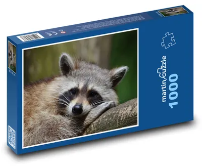Obrázek produktu pro Puzzle 1000 Mýval na větvi - martinpuzzle