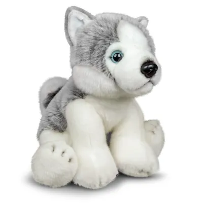 Image de Peluche Husky