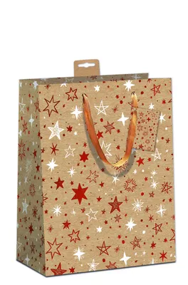 Produktbild von Weihnachten 6 Geschenktüten Geschenktaschen Large A4 Kraftkarton á