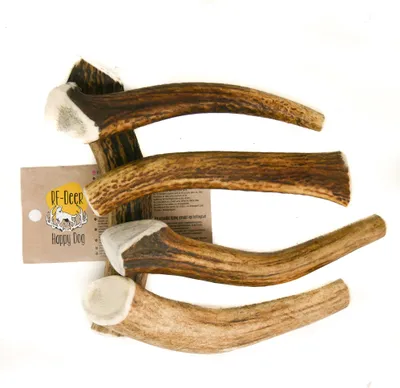 Obrázek produktu pro RF-DEER Jelení paroží SET 5x L 355-600g 14-16cm Tvrdé přírodní paroží, ekologické žvýkání pro psy, zdravá žvýkací hračka, žvýkací kost pro radost