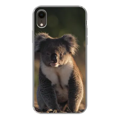 Produktbild von MuchoWow® Handyhülle Schutzhülle Hülle für iPhone XR Koala - Sonne - Tier - Kinder - Jungen - Mädchen Silikon Softcase Handy Hülle - Schutzdeckel