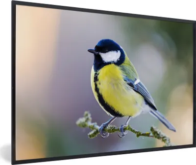 Produktbild von MuchoWow® Gerahmtes Poster Kohlmeise - Vogel - Zweig 90x60 cm - Poster mit Schwarzem Bilderrahmen Wandposter Rahmen Foto Bilder - Fotorahmen - Foto-Plakat