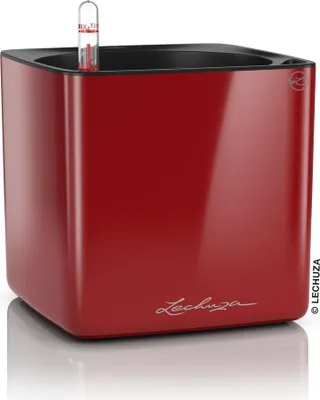 Produktbild von LECHUZA-Tischgefäß CUBE Premium 16 Scarlet Rot Highgloss | Pflanzgefäß mit Bewässerungssystem | Hochglanz-Oberfläche | 17 x 17 x 16 cm | 13522