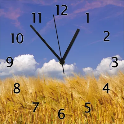 Produktbild von Wallario Design Wanduhr Kornfeld unter blauem Himmel aus Echtglas, Größe 30 x 30 cm