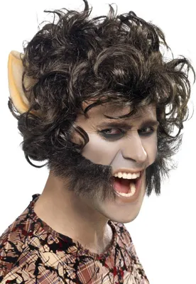 Produktbild von Werwolf Perücke mit Ohren Halloween und Karneval