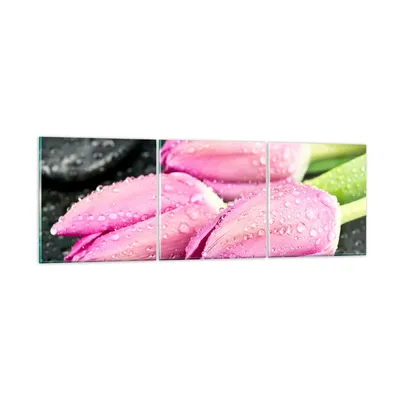 Produktbild von Bilder auf glas - Tulpen Tau Steine Pflanze - 90x30cm - Glasbilder - Wandbilder - Kunstdruck - zum Aufhängen bereit - Wanddekoration aus Glas - Glas Bilder - Wandbild auf Glas - GCA90x30-2485