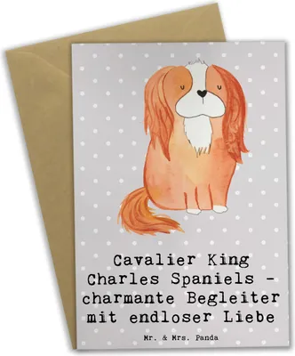 Produktbild von Mr. & Mrs. Panda Glückwunschkarte Cavalier King Charles Spaniel Begleiter - Grau Pastell - Geschenk, treue Freunde, Hunderassen, osterkarte, glückwunschkarten, Vielfalt