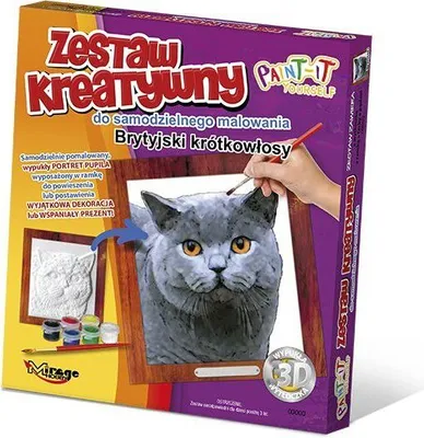 Image de Zestaw kreatywny Brytyjski krótkowłosy