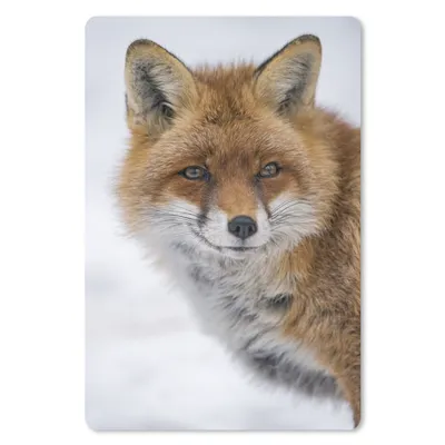 Produktbild von MuchoWow® Mauspad Mousepad Fuchs - Porträt - Schnee 40x60 cm - Mousepads - Maus Mat - Pad - Mausunterlage - Schreibtisch Accesoire