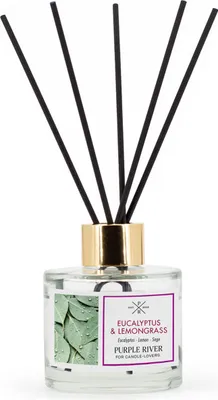 Immagine prodotto di Diffusore a bastoncini, diffusore di aromi, diffusore di oli essenziali | Eucalipto e citronella | 100 ml, vetro, senza fiamma né elettricità