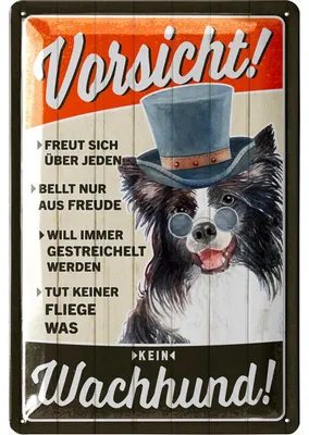 Produktbild von Retro Blechschild Vorsicht kein Wachhund, Hunde Geschenke, lustiges Warnschild als Geschenk für Hundeliebhaber und Hundefreunde, 20x30cm