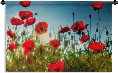 Produktbild von MuchoWow® Wandteppich Wandbehang Mohnblumen - Toskana - Sonne - Rot - Blau 90x60 cm Tapisserie Dekoration Wandtuch - Wandskulpturen - Bildteppich
