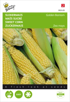 Produktbild von Zuckermais Golden Bantam | Maissamen von Buzzy Seeds