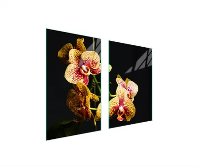 Produktbild von Glasschutzplatte Für Küche 65X52 Orchidee