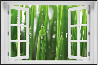 Produktbild von Wallario Wandbild mit Fenster-Illusion: Wassertropfen an Grashalmen, Größe: 61 x 91,5 cm, Poster mit schwarzem Aluminiumrahmen