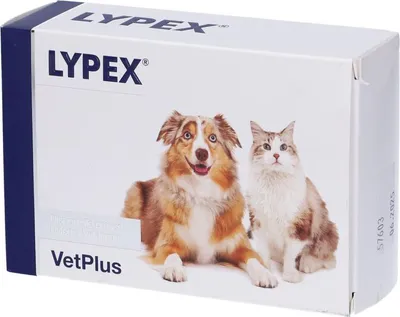 Immagine prodotto di Lypex 60 Capsule