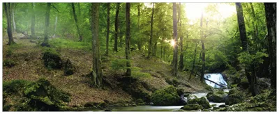 Produktbild von Wallario Wandbild aus Acryl, 125 x 50 cm, freischwebende Optik - Fließender Bach im Wald bei Sonnenuntergang