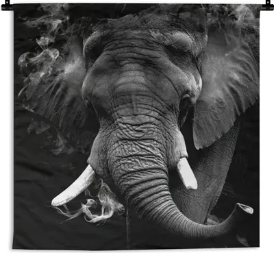 Produktbild von MuchoWow® Wandteppich Wandbehang Elefant - Rauch - Zähne - Schwarz - Weiß 150x150 cm Tapisserie Dekoration Wandtuch - Wohnaccessoires - Modernes