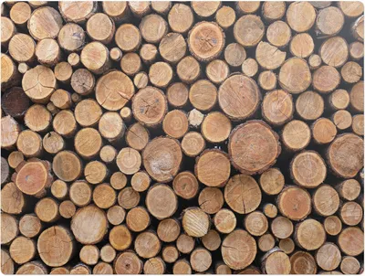 Produktbild von Stapel von Holzstämmen – Bodenschutzmatte – Stuhlunterlage 120x90 cm – Rutschfest – Hartbodenmatte
