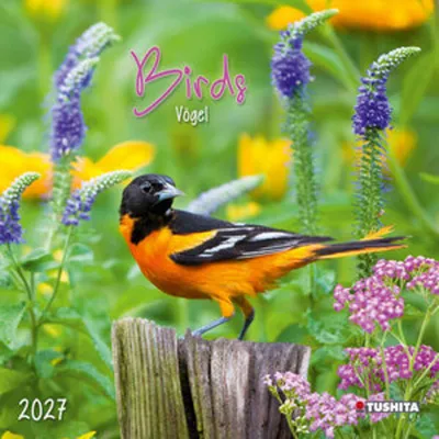 Obrázek produktu pro Ptáci 2027