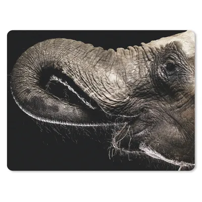 Produktbild von MuchoWow® Mauspad Mousepad Elefant - Tiere - Schwarz - Natur 40x30 cm - Mousepads - Maus Mat - Pad - Mausunterlage - Anti Rutsch