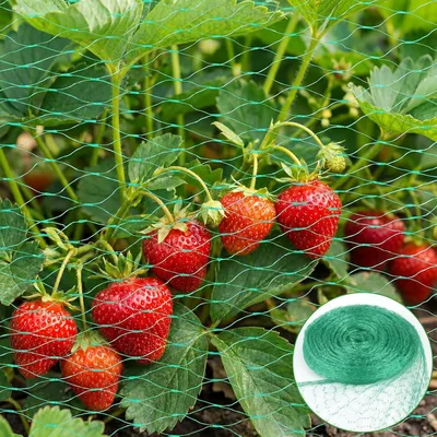 Produktbild von Vogelschutznetz 4 x 6 m, grün, feinmaschig, für Teiche