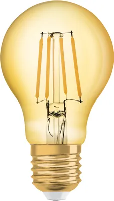 A close-up studio shot of a vintage-style LED light bulb.