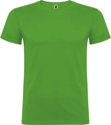 Obrázok produktu pre Roly - Pánske tričko s krátkym rukávom "Beagle" PF4341 (3XL) (zelená)