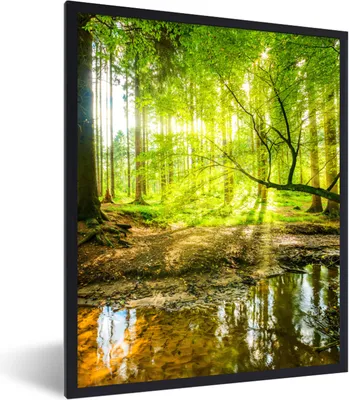 Produktbild von MuchoWow® Gerahmtes Poster Wald - Landschaft - Wasser - Bäume - Sonne - Grün - Natur 60x80 cm - Poster mit Schwarzem Bilderrahmen Wandposter Rahmen Foto Bilder - Premium - Wanddeko Wohnzimmer