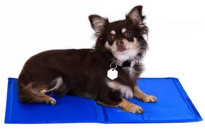Produktbild von lionto Kühlmatte für Hunde & Katzen, selbstkühlend, 50x40 cm, leichte Reinigung, blau