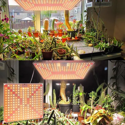 Produktbild von 50W LED lampa na rostliny s plným spektrem bílého slunečního světla rostoucí lampa na rostliny světlo pokojové rostliny rostoucí lampa