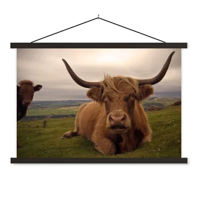 Produktbild von MuchoWow® Textilposter Schottischer Highlander - Tiere - Berg 120x80 cm mit schwarzem Rahmen - Wanddeko