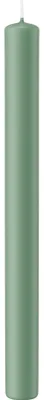 Produktbild von Stabkerzen Reseda 250 x Ø 22 mm, 10 Stück