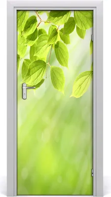 Produktbild von Tulup Türaufkleber 85x205 cm Dekorative Aufkleber Selbstklebend Wasserdichte Tapete Abnehmbar Schlafzimmer Wohnzimmer Wohnkultur - grüne Blätter