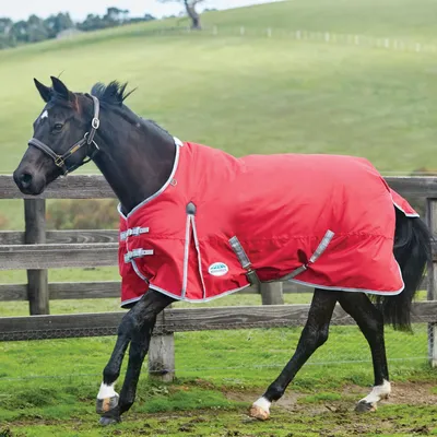 Produktbild von Weatherbeeta Comfitec Classic Standard Medium/Lite 100g - red/silver/navy, 155