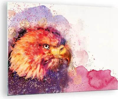 Produktbild von Bilder auf glas - Adler Vogel Feder - 70x50cm - Glasbilder - Wandbilder - Kunstdruck - zum Aufhängen bereit - Wanddekoration aus Glas - Glas Bilder - Wandbild auf Glas - Einteilig - GAA70x50-4054