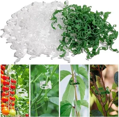 Image de Piquets pour tomates pour le jardin - 200 pièces - ACCESSDIT