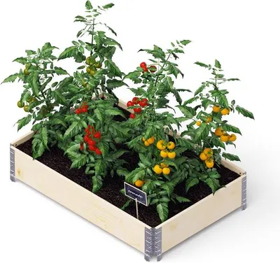 Produktbild von NOOR upyard™ zvýšené lůžko rám palety tloušťka stěny 15 mm 120 x 80 cm přírodní