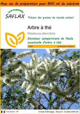 Image de SAFLAX Garden in the bag - Arbre à thé - 400 graines - Melaleuca
