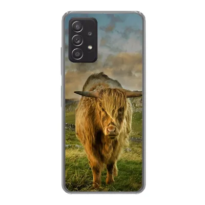 Produktbild von MuchoWow® Handyhülle Schutzhülle Hülle für Samsung galaxy a73 Schottischer Highlander - Gras - Berg Silikon Softcase Handy Hülle - Handyhülle