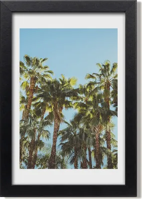 Produktbild von Bild 20x30 MDF-Rahmen, Wandkunst Palmen