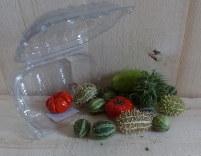 Produktbild von Warentuin Producten