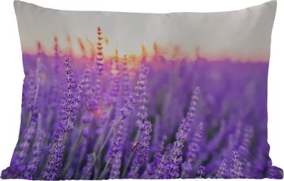 Produktbild von MuchoWow® Outdoor Kissen - Lavendel - Nahaufnahme - Lila - Blumen - 50x30 cm - Wetterfest - Lounge Kissen - Sofa kissen - Wohnzimmer Dekoration