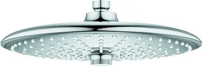 A close-up studio shot of a chrome shower head against a white background.