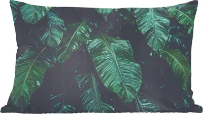 Produktbild von MuchoWow® Zierkissen Sofakissen Wohnzimmer Dekokissen 50x30 cm Dschungel - Palme - Blätter - Tropisch - Wohnzimmerdekoration - Polster mit Photo