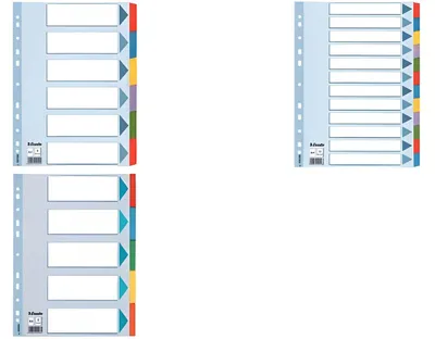 Produktbild von ESSELTE Karton-Register blanko A4 6-teilig mehrfarbig (80100168)