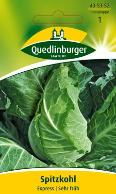 Produktbild von Spitzkohl 'Express' Quedlinburger Gemüsesamen