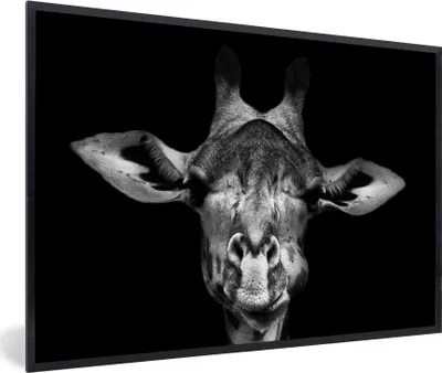 Produktbild von MuchoWow® Gerahmtes Poster Giraffe - Porträt - Tiere - Schwarz - Weiß 90x60 cm - Poster mit Schwarzem Bilderrahmen Wandposter Rahmen Foto Bilder - Fotorahmen - Foto-Plakat