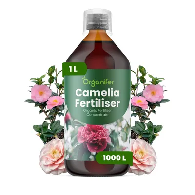 Obrázok produktu pre Kamélia, tekuté hnojivo, 1 L – vzorec NPK 3-4-3 – pre kvitnúce rastliny – pre bohaté kvitnutie a zdravé listy – podporuje rast koreňov a vitalitu – organické hnojivo